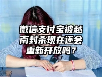 微信支付宝被越南封杀现在还会重新开放吗？