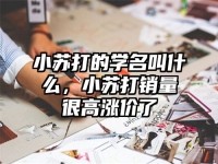 小苏打的学名叫什么，小苏打销量很高涨价了