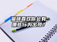 猫咪喜欢你会有哪些行为出现？