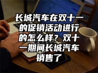 长城汽车在双十一的促销活动进行的怎么样？双十一期间长城汽车销售了