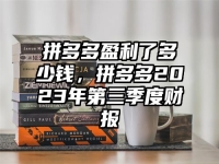 拼多多盈利了多少钱，拼多多2023年第三季度财报