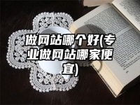 做网站哪个好(专业做网站哪家便宜)