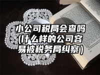 小公司税局会查吗(什么样的公司容易被税务局纠察）