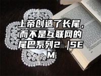 上帝创造了长尾，而不是互联网的尾巴系列2 |SEM