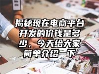 揭秘现在电商平台开发的价钱是多少，今天给大家简单介绍一下