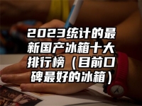 2023统计的最新国产冰箱十大排行榜（目前口碑最好的冰箱）