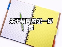 关于销售的第一印象