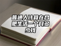 普通人计算在合肥生活一个月多少钱