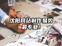 沈阳网站制作易势最专业！