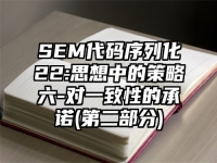 SEM代码序列化22:思想中的策略六-对一致性的承诺(第二部分)