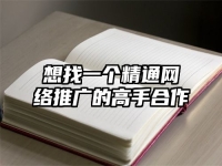 想找一个精通网络推广的高手合作