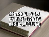 冷门小生意推荐做哪些(回收旧衣服实现财富自由)