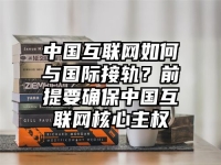中国互联网如何与国际接轨？前提要确保中国互联网核心主权