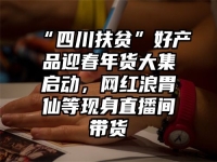 “四川扶贫”好产品迎春年货大集启动，网红浪胃仙等现身直播间带货