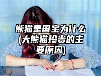 熊猫是国宝为什么(大熊猫珍贵的主要原因)