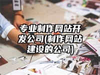 专业制作网站开发公司(制作网站建设的公司)