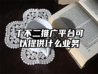 丁不二推广平台可以提供什么业务