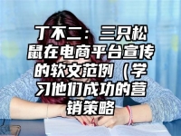 丁不二：三只松鼠在电商平台宣传的软文范例（学习他们成功的营销策略